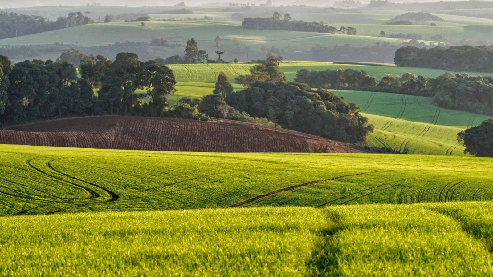 Stunning countryside view of rolling hills and farmland in Pitanga, Paraná, Brazil.