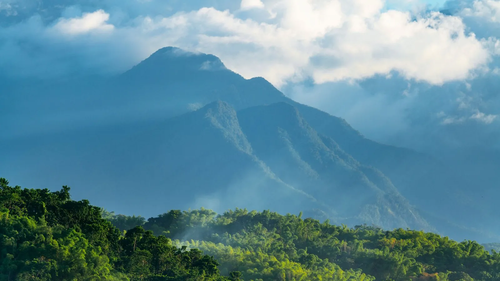 Serene view of the Blue Mountains in Jamaica, shrouded in clouds and sunlight.