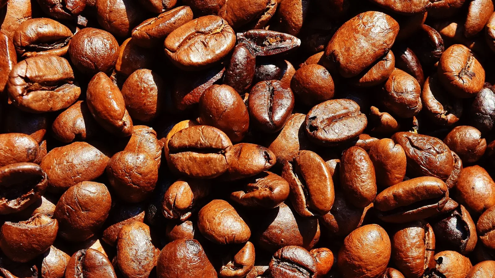Detailed macro shot of roasted coffee beans highlighting texture and color.