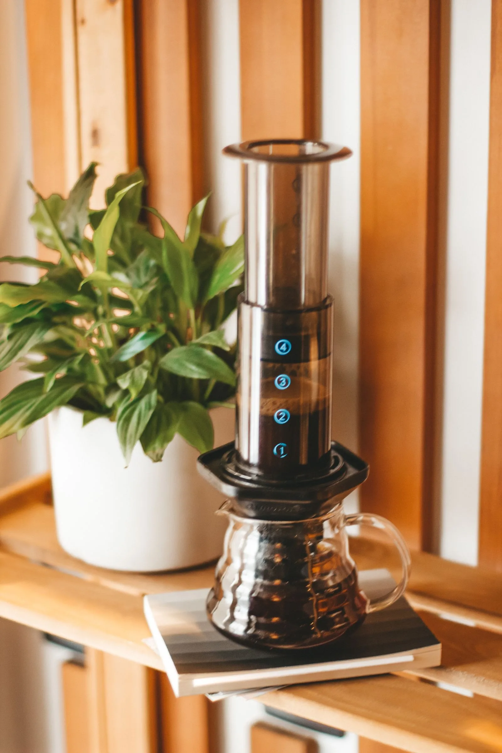 AeroPress manual coffee maker being used to brew coffee