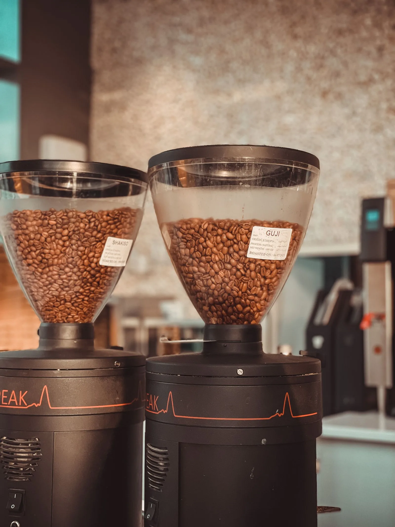 Coffee grinder burrs crushing roasted beans into uniform fine grounds