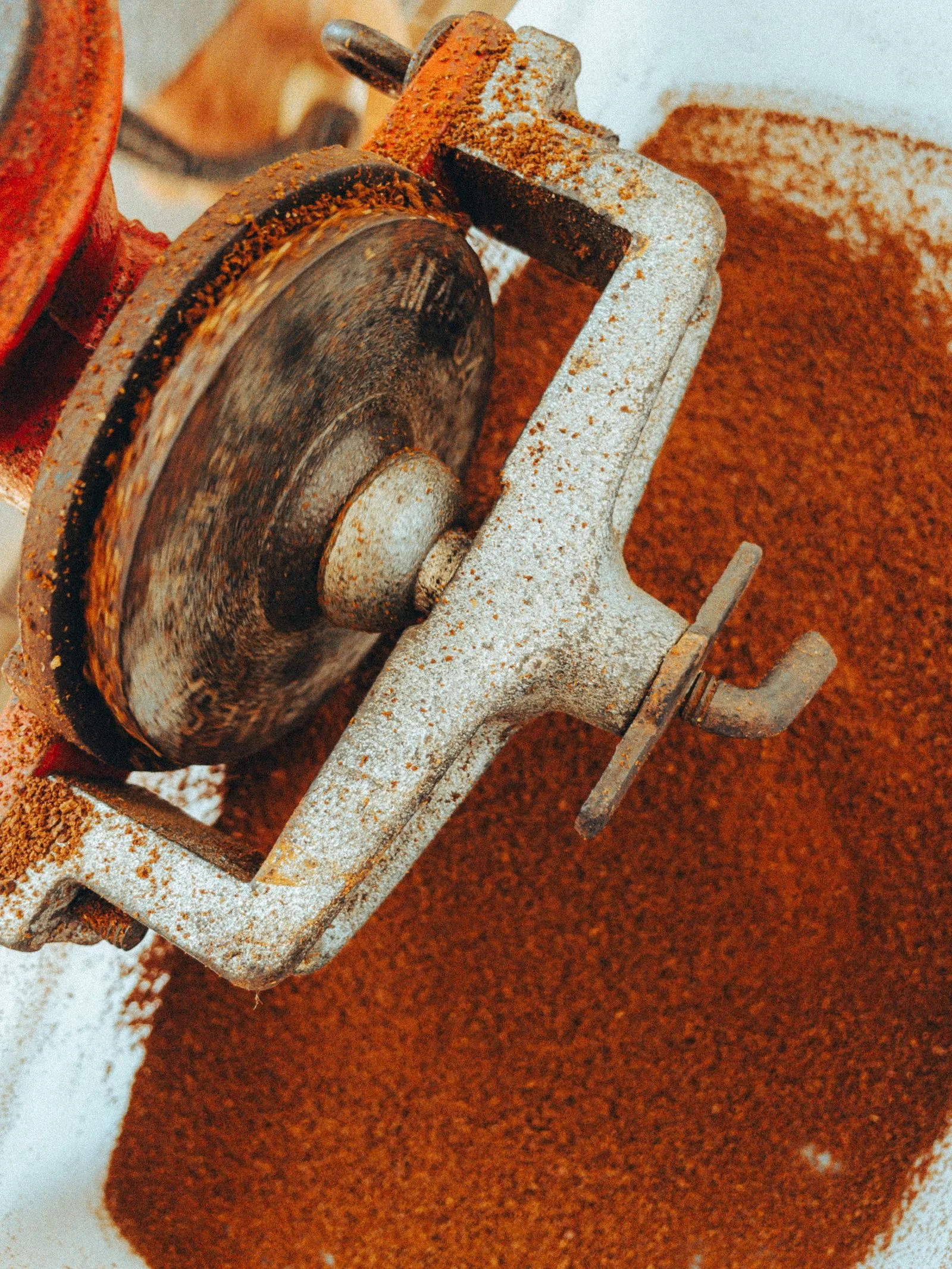 Close-up of burr grinder's internal burrs grinding coffee beans