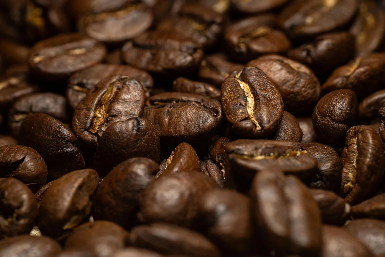 Glossy dark roasted coffee beans with visible surface oils