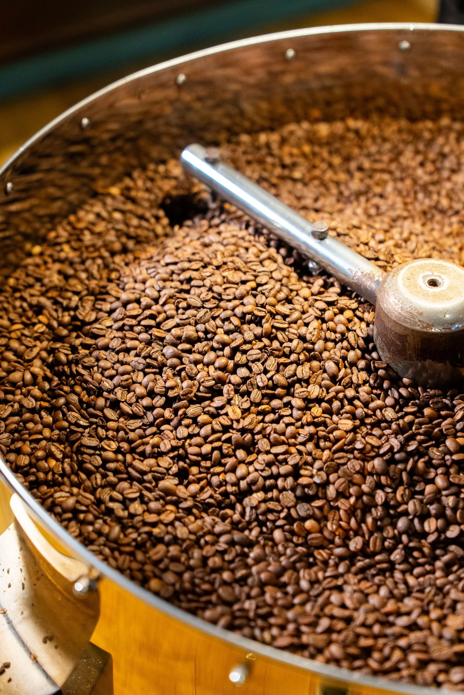 Different roasted coffee beans showing light to dark roast levels