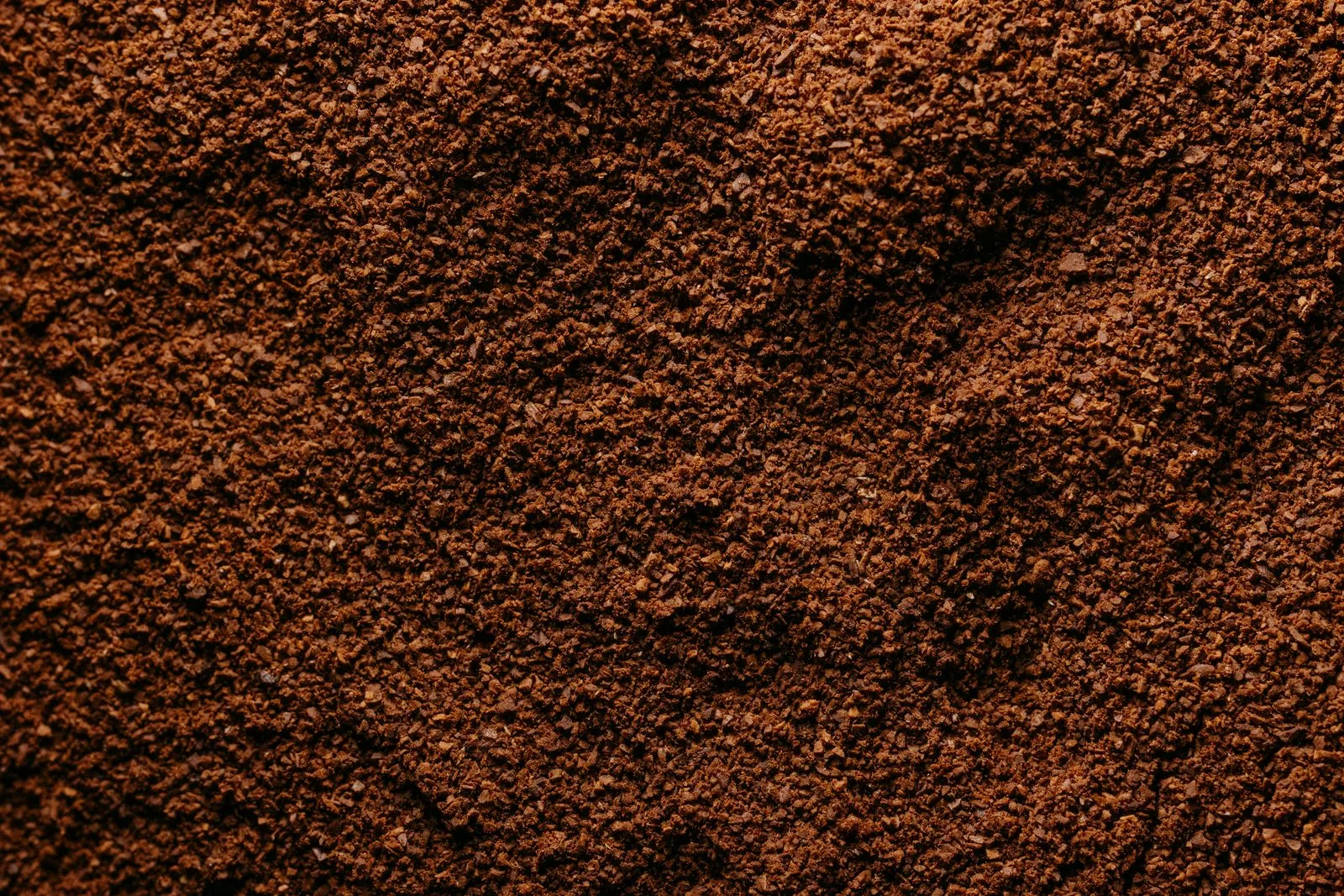 Coffee grind samples showing coarse, medium, and fine particle sizes