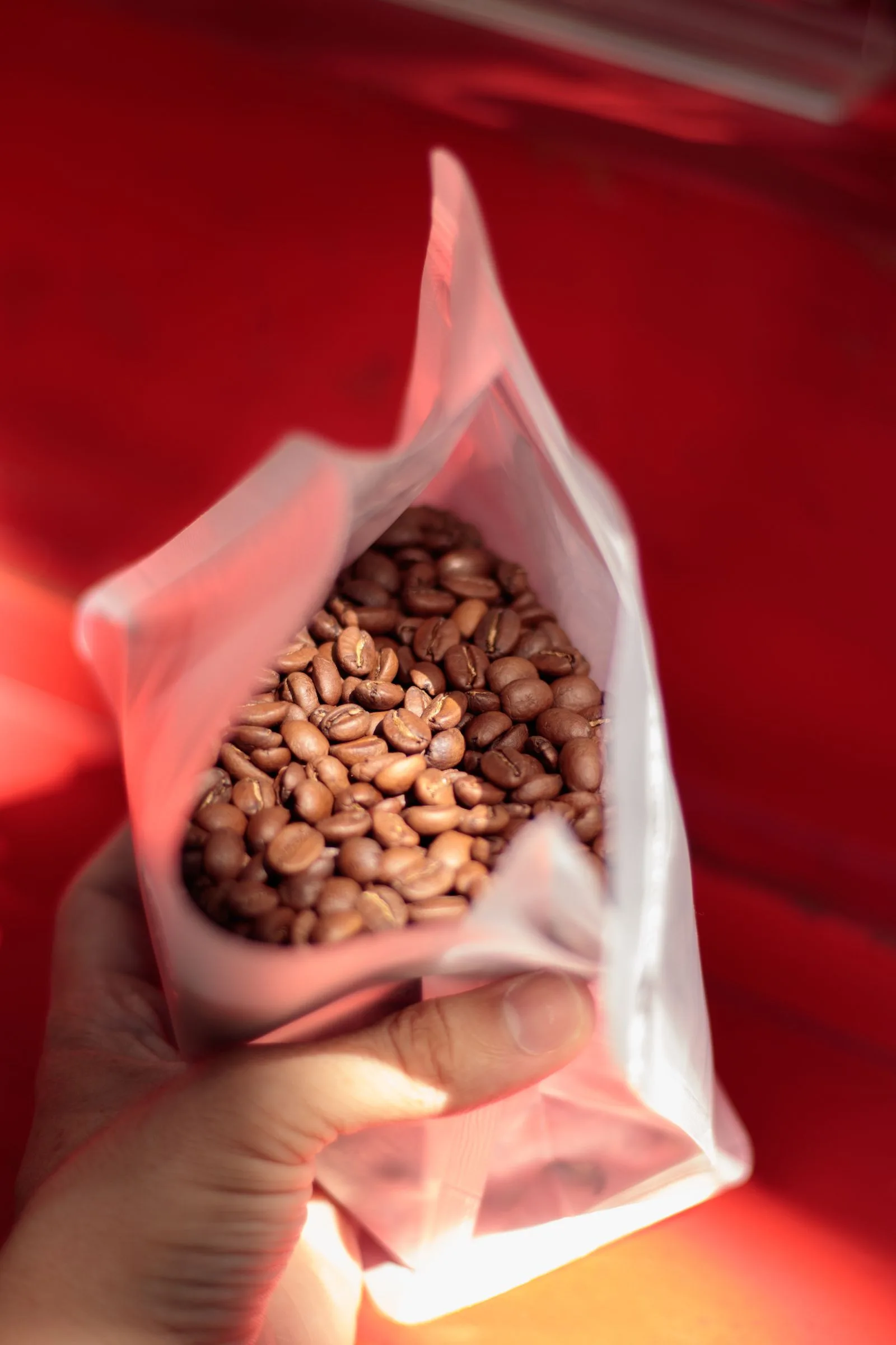 Fresh roasted coffee bags with proper sealed packaging