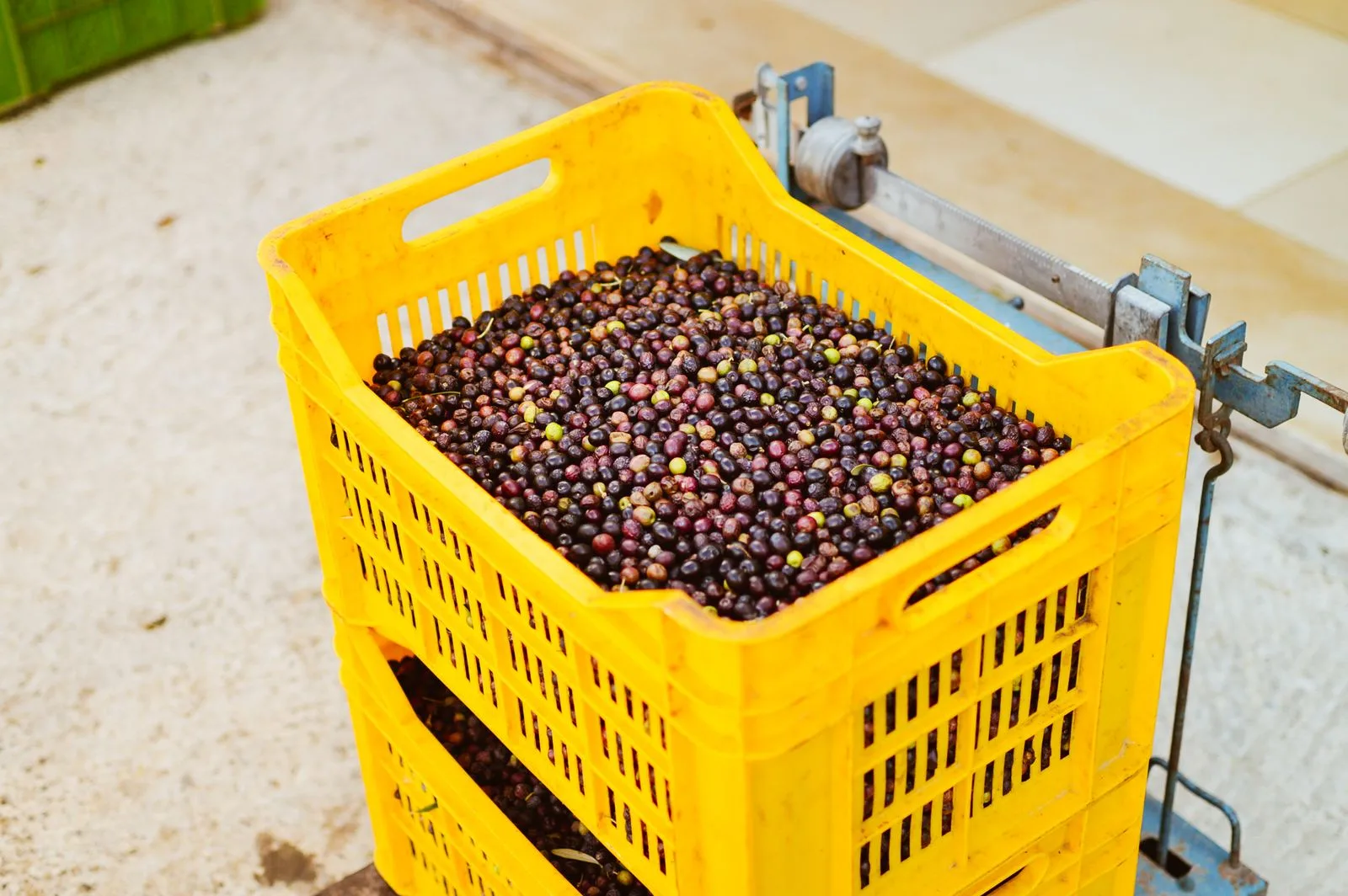 Photograph related to Basket fill versus weighed
