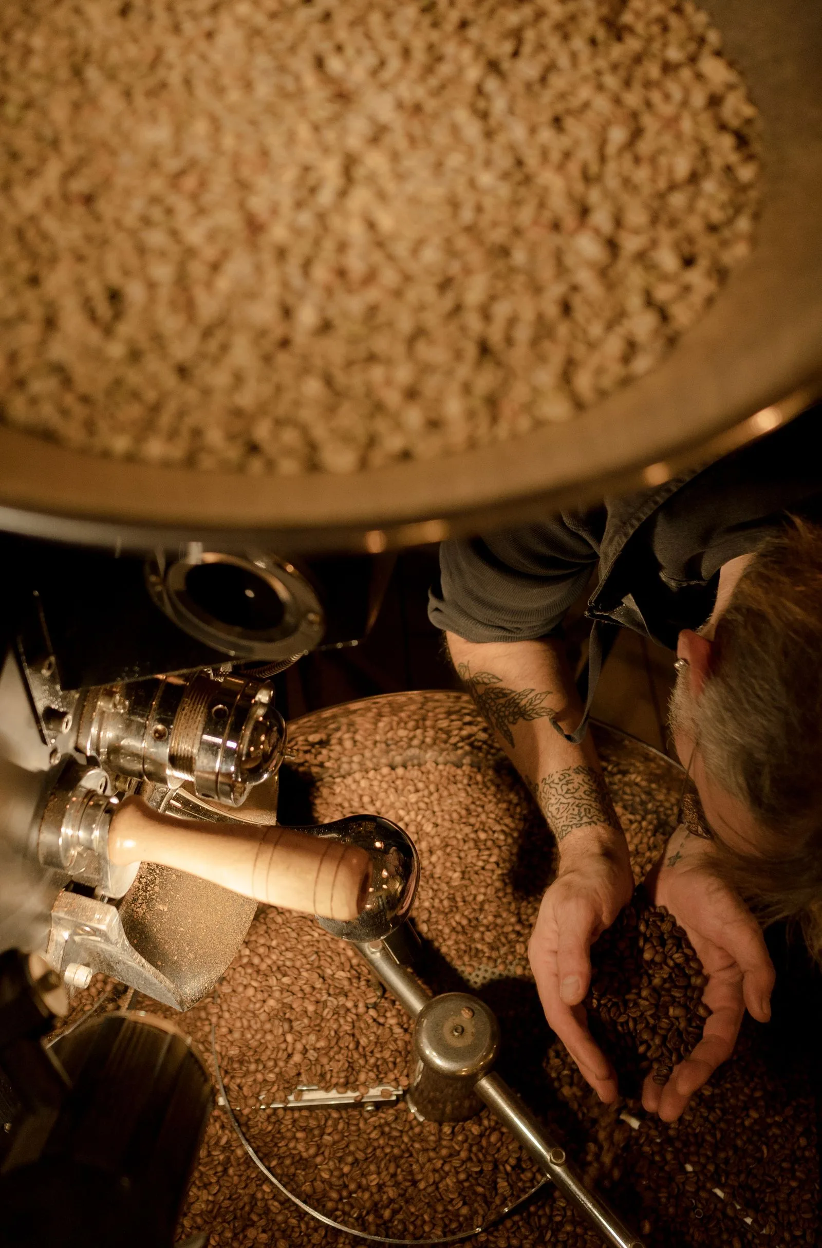 Specialty coffee roaster operating roasting equipment